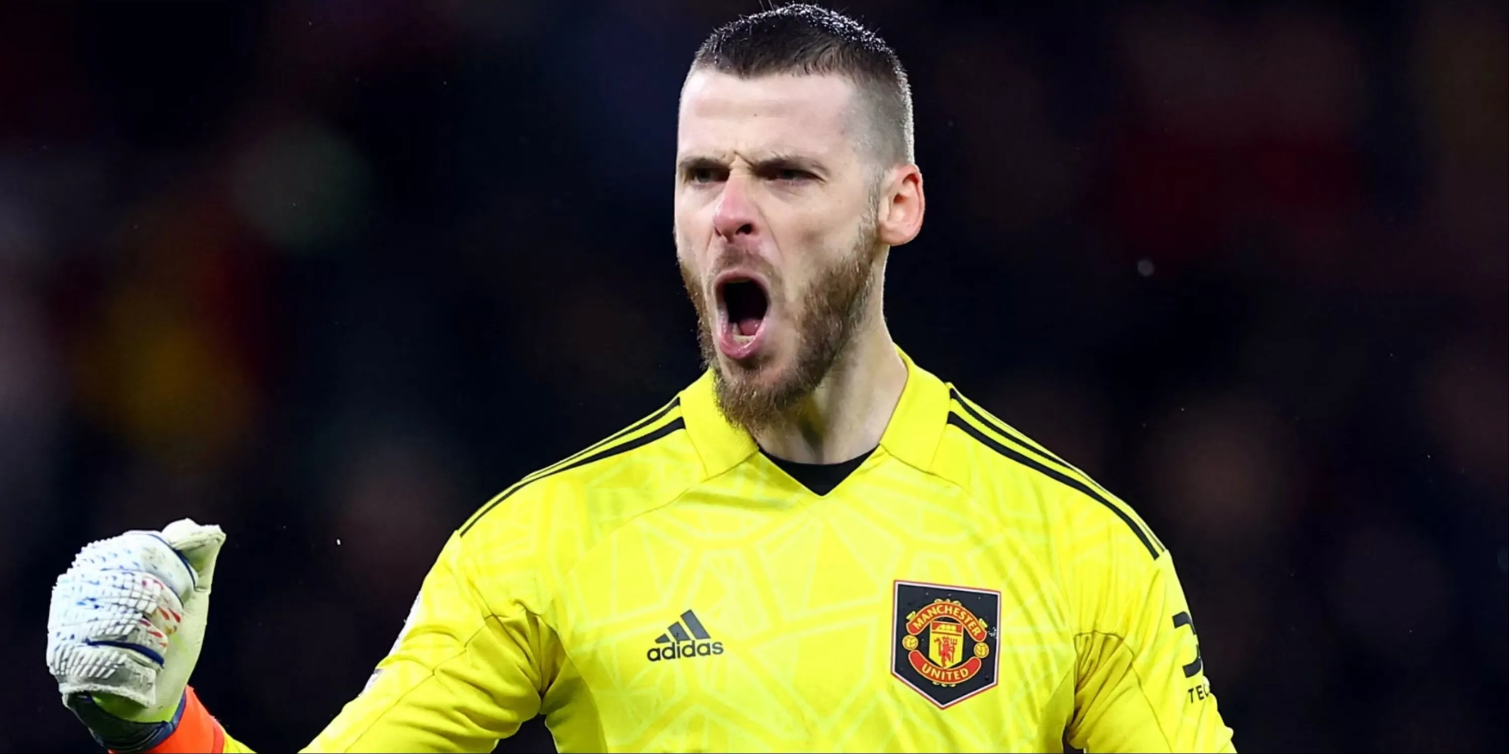 Thủ môn David de Gea của Manchester United