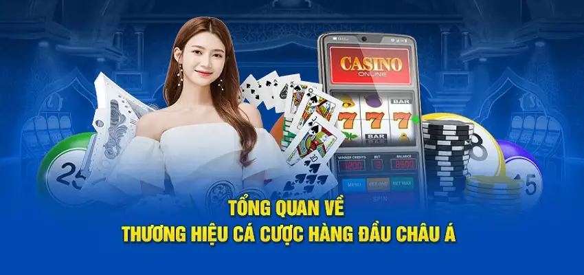 Nhà cái Vnbet77 – Lựa chọn hàng đầu trong làng cá cược trực tuyến