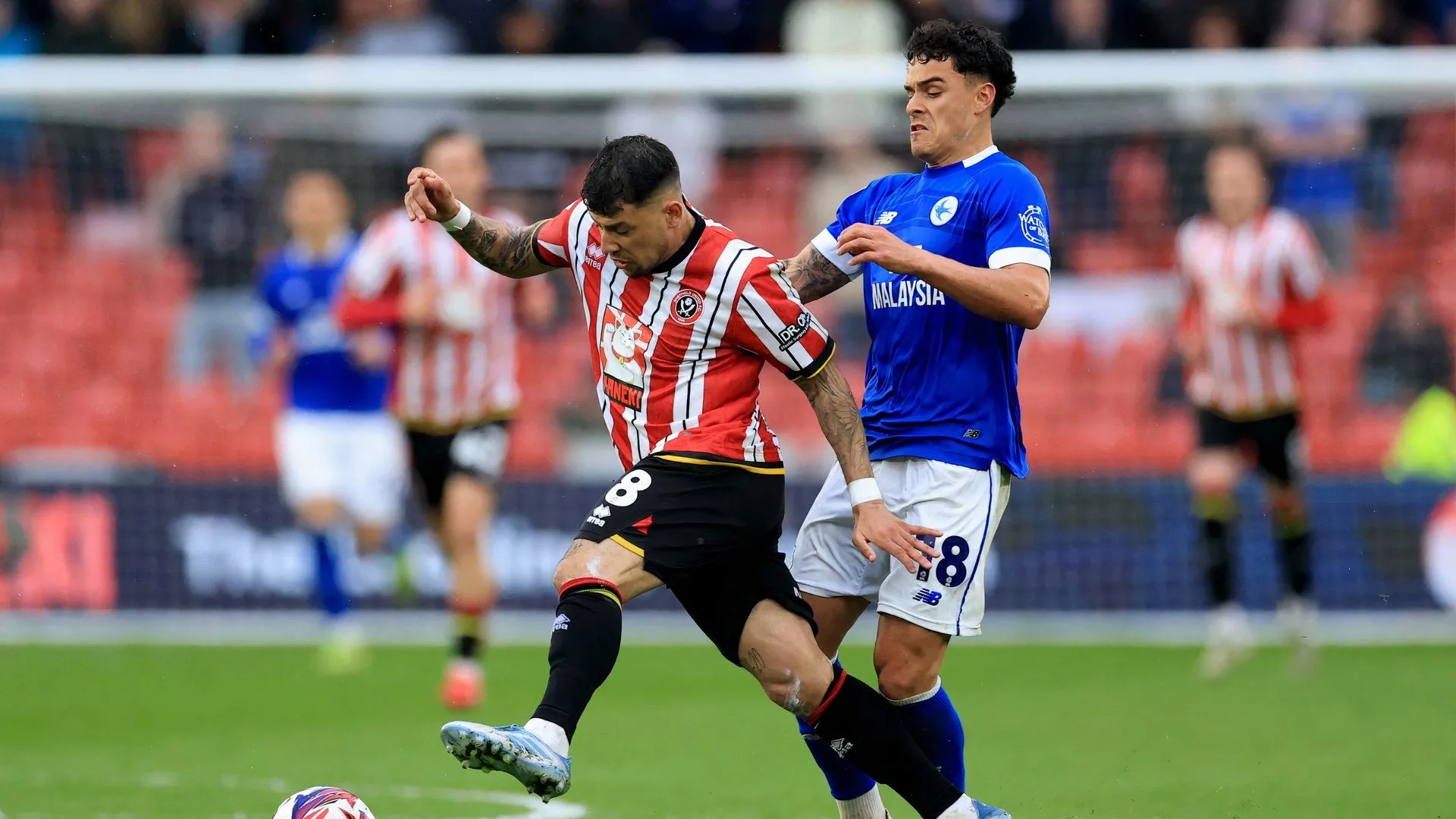 Tiền vệ Alex Robertson trong màu áo Cardiff City
