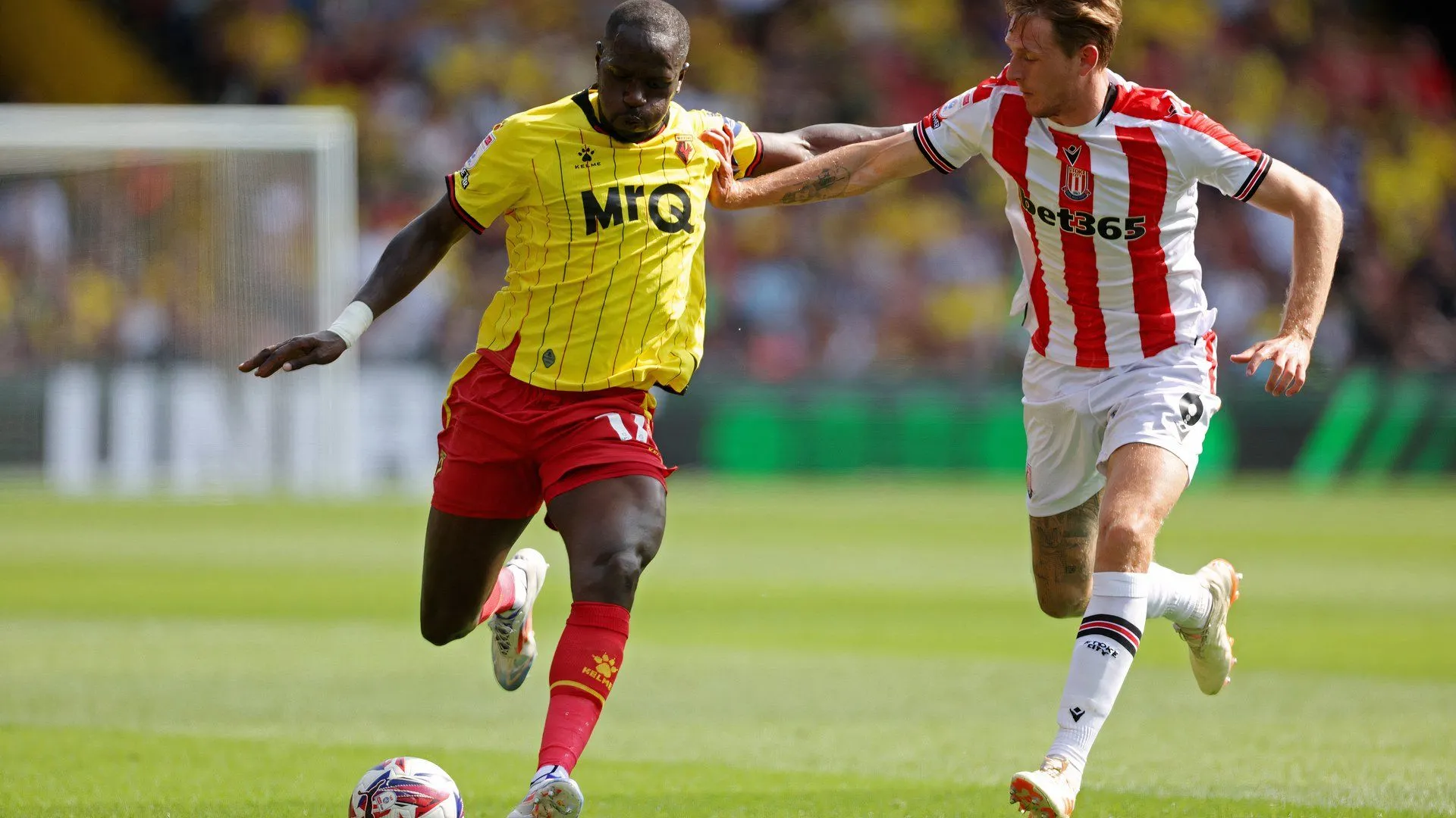Moussa Sissoko trong màu áo Watford